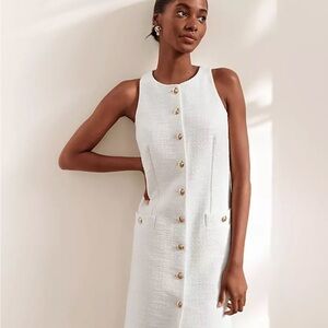 Ann Taylor Dress